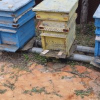 Пчелни кошери, снимка 6 - За пчели - 36628613