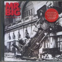 MR. BIG, снимка 1 - CD дискове - 35650323