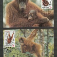 Индонезия 1983 - 4 броя Карти Максимум - WWF, снимка 2 - Филателия - 38890742