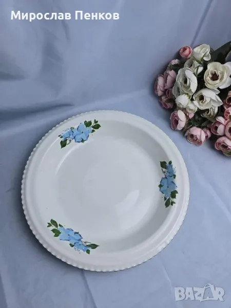 Фруктиера, снимка 1