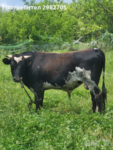 Продава се , снимка 1