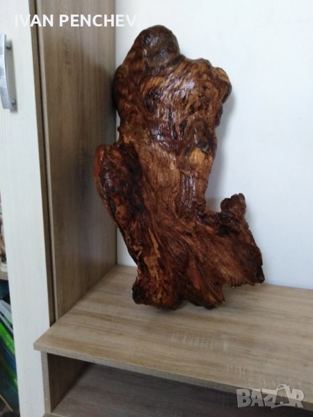 Декоративно дърво, снимка 1