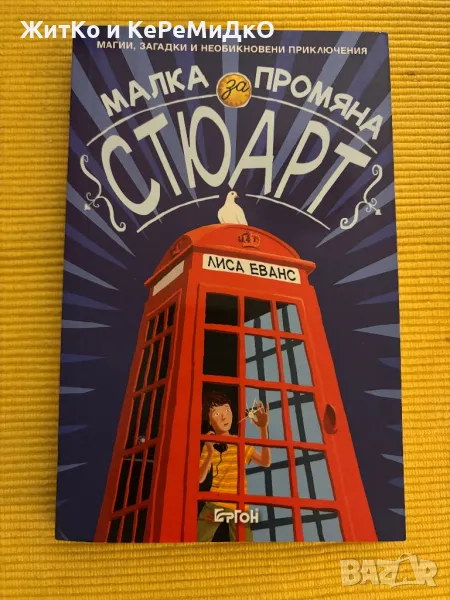 Лиса Еванс - Малка промяна за Стюарт, снимка 1