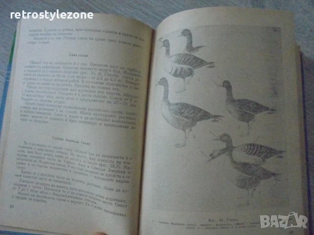 № 8158 Наръчник на ловеца и риболовеца – Земиздат, 1974 г. , снимка 3 - Енциклопедии, справочници - 51133294