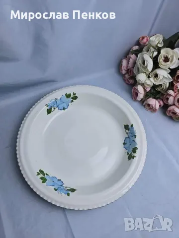 Фруктиера, снимка 1