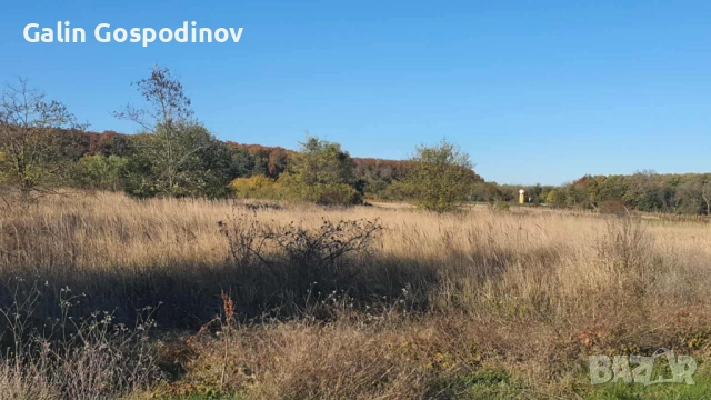 Нива 1 дка с. Горун на 200м от международен път Варна - Дуранкулак.