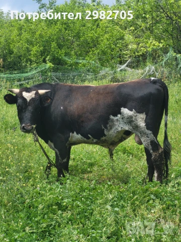 Продава се , снимка 1