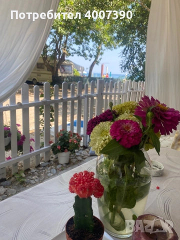 Продавам каравана Hobby 7м. до морето в къмпинг Аспровалта, снимка 6 - Каравани и кемпери - 51819673