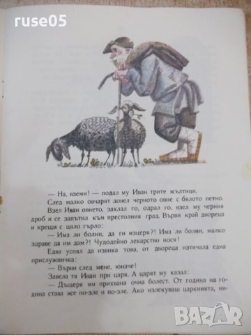 Книга "Приказка за двамата братя - А. Нечаев" - 20 стр., снимка 4 - Детски книжки - 37527916