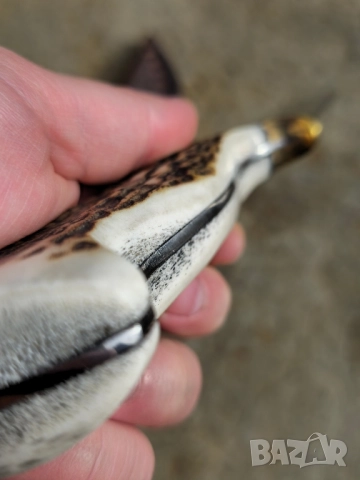 Ръчно изработен нож Еленски рог, снимка 10 - Ножове - 52322649
