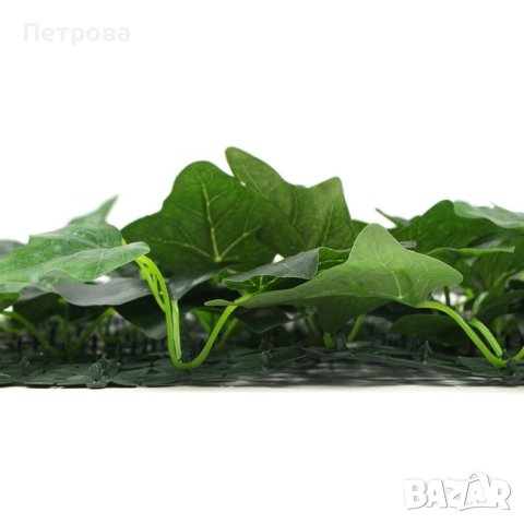 Пано със зеленина-50х50 см./декоративно пано със зеленина/пано, снимка 5 - Пана - 44163571