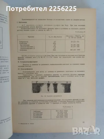 Физиология на човека, снимка 4 - Специализирана литература - 47319396