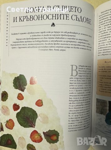Болката - овладяване с природни средства: Пълно ръководство за самопомощ Безопасни и ефективни лечеб, снимка 5 - Специализирана литература - 44339457