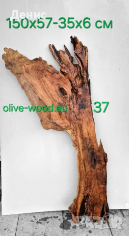 Шайби от вековни маслинови дървета (olive wood slabs), снимка 5 - Декорация за дома - 42652069