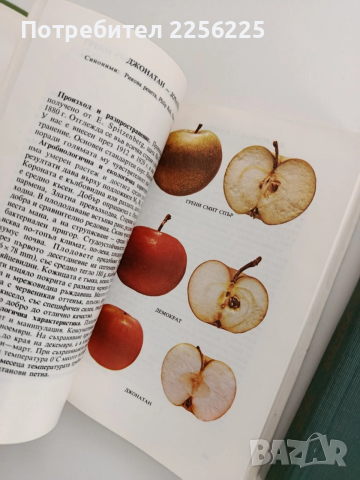 Малка полмология ( 1 и 2), снимка 3 - Специализирана литература - 53154707