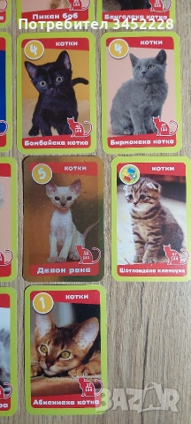 карти за колекционери 19 броя , снимка 6 - Колекции - 52957692