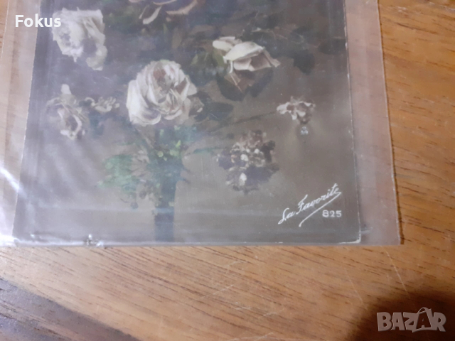 Стара пощенска картичка N 15, снимка 4 - Антикварни и старинни предмети - 53286699