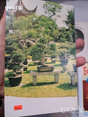 книги Бонсай Бонсаите 30/2, снимка 3 - Специализирана литература - 52668088