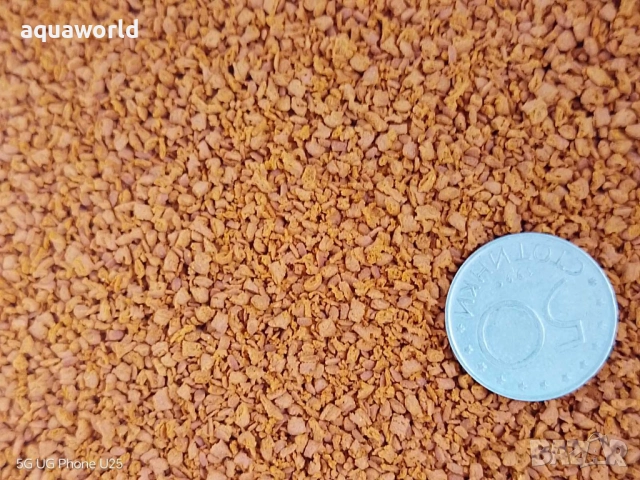 Храна за рибки Тетра дискус /Tetra discus/ , снимка 3 - Аквариуми - 9748433