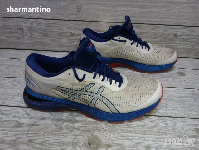 Asics Gel Kayano N 46,5