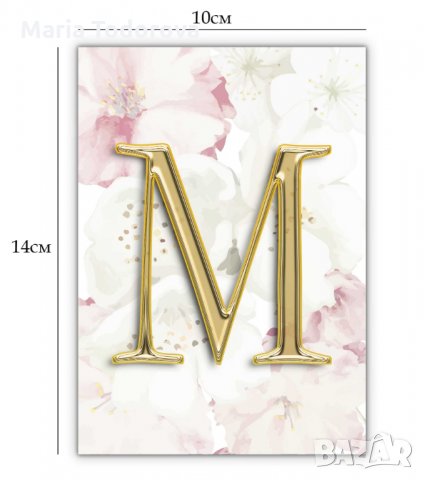 Банер/надпис за моминско парти, снимка 2 - Декорация - 29944429