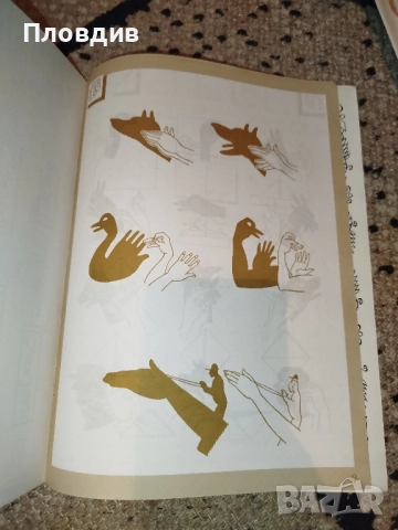 Детска книжка Уча и играя , снимка 8 - Детски книжки - 52515943