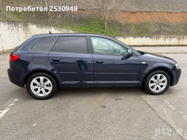 Audi A3 Sportback 1.9TDI, снимка 8 - Автомобили и джипове - 53935996