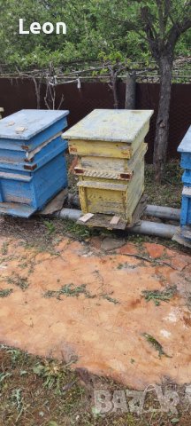 Пчелни кошери, снимка 6 - За пчели - 36628613