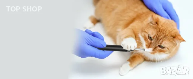 WiFi отоскоп с комплект аксесоари 1920P HD от LMECHN, снимка 11 - Медицинска апаратура - 48774423