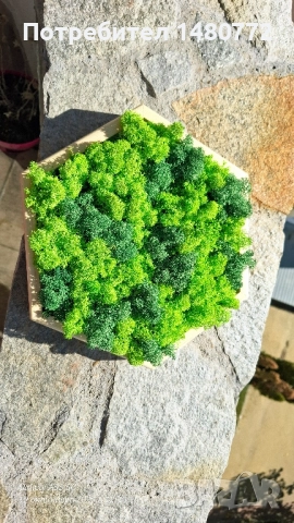 Пано шестоъгълник със скандинавски мъх , снимка 3 - Пана - 52117378