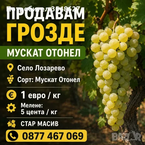 Мускат Отонел ..