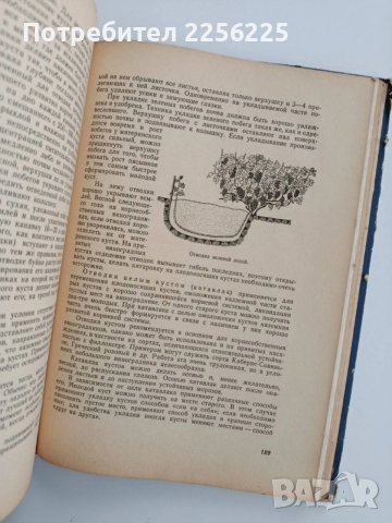 Настолна книга за лозаря, снимка 3 - Специализирана литература - 52471038