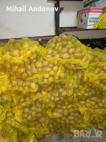 Родопски картофи за комсумация, снимка 2 - Домашни продукти - 53155249