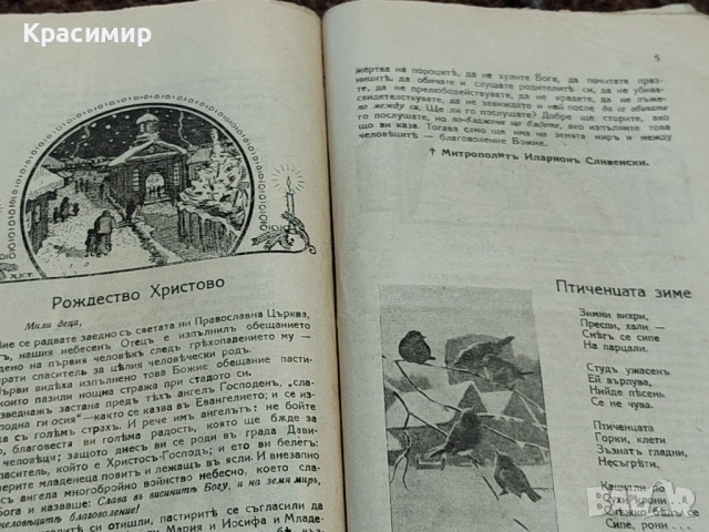 Винтидж Списание Росица 1924-1925 г. , снимка 8 - Детски книжки - 52983650