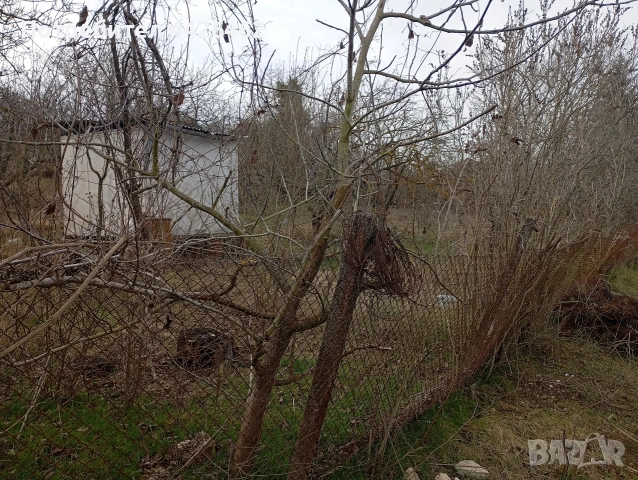 Парцел в вилна зона село Кранево, снимка 3 - Парцели - 53934868