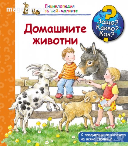 ЗАЩО? КАКВО? КАК?, снимка 12 - Детски книжки - 31407378