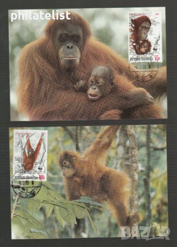 Индонезия 1983 - 4 броя Карти Максимум - WWF, снимка 2 - Филателия - 38890742