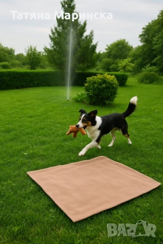 Хотел за кучета-простор, грижа и уют