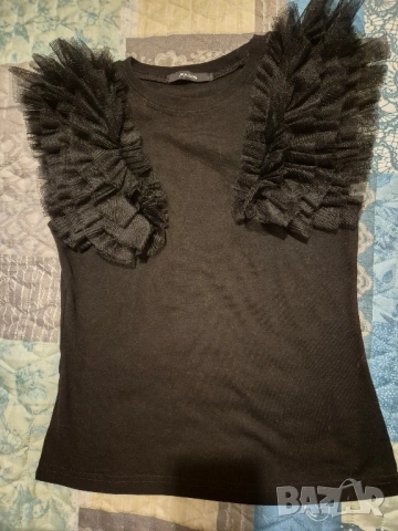 фръци потник Радис