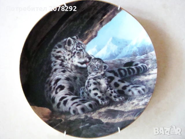 The Snow Leopard" от Will Nelson 