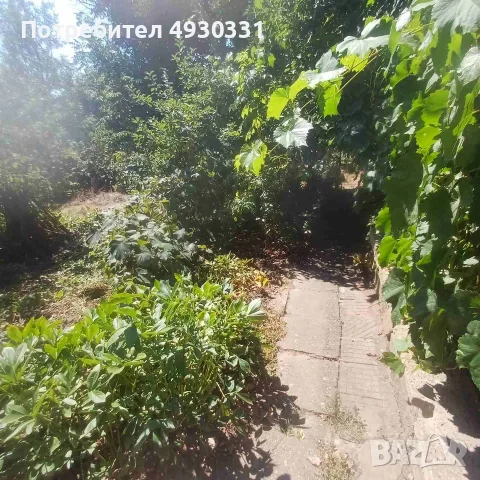 ПРОДАВА СЕ ДВОР 700 кв.м. С ЕДНОЕТАЖНА КЪЩА С. СОКОЛ, ОБЩ. ГЛАВИНИЦА, ОБЛ. СИЛИСТРА- 7000Е с възможн, снимка 8 - Къщи - 55808175