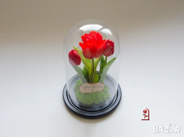 Вечни Лалета в Стъкленица със Скандинавски Мъх / Подарък за Рожден Ден на Жена / Подарък за Имен ден, снимка 6 - Подаръци за жени - 54055776