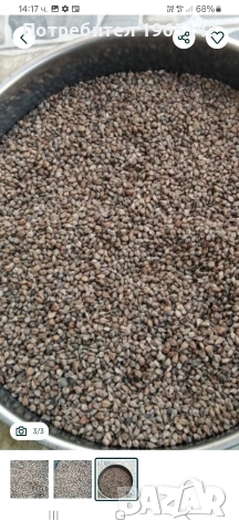 Семки от грозде