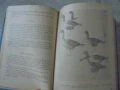 № 8158 Наръчник на ловеца и риболовеца – Земиздат, 1974 г. , снимка 3