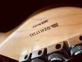 Made in USA! 2004 Fender American Deluxe Telecaster QMT!, снимка 16