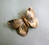 Старинна брошка пеперуда, снимка 2