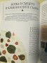 Болката - овладяване с природни средства: Пълно ръководство за самопомощ Безопасни и ефективни лечеб, снимка 5