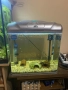 Продавам фабричен аквариум RS420B, снимка 5