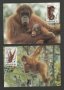 Индонезия 1983 - 4 броя Карти Максимум - WWF, снимка 2