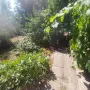 ПРОДАВА СЕ ДВОР 700 кв.м. С ЕДНОЕТАЖНА КЪЩА С. СОКОЛ, ОБЩ. ГЛАВИНИЦА, ОБЛ. СИЛИСТРА- 7000Е с възможн, снимка 8